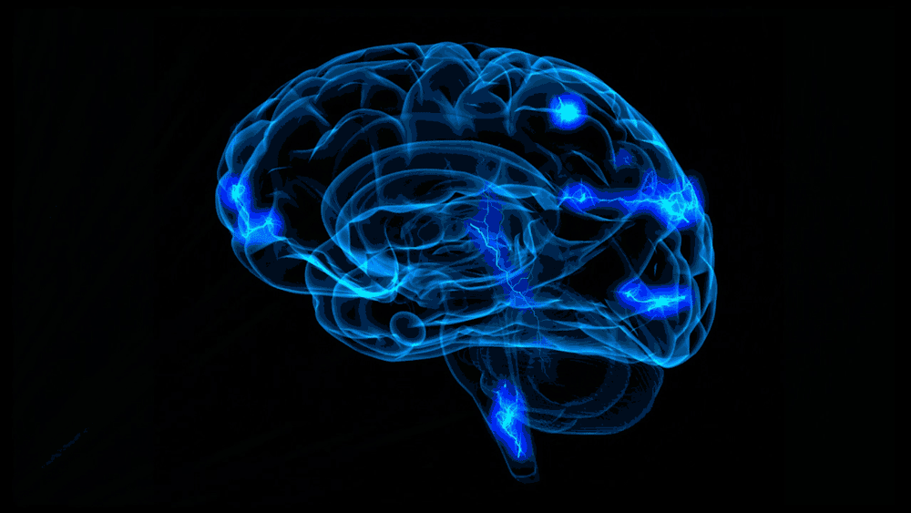 Neuroplasticidad: El Superpoder Neuroplasticidad: El Superpoder